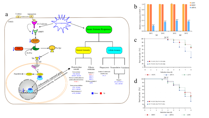 undefined undefined